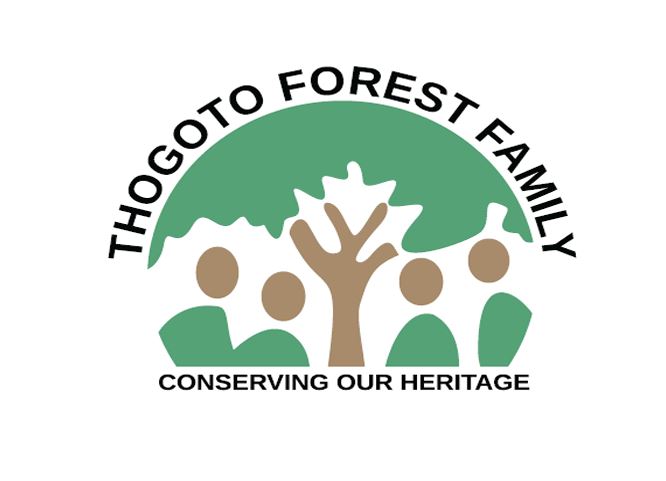 TFF LOGO